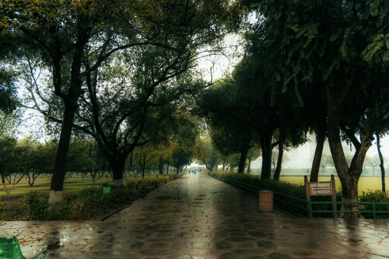 a long road lined with trees, grass and a bench