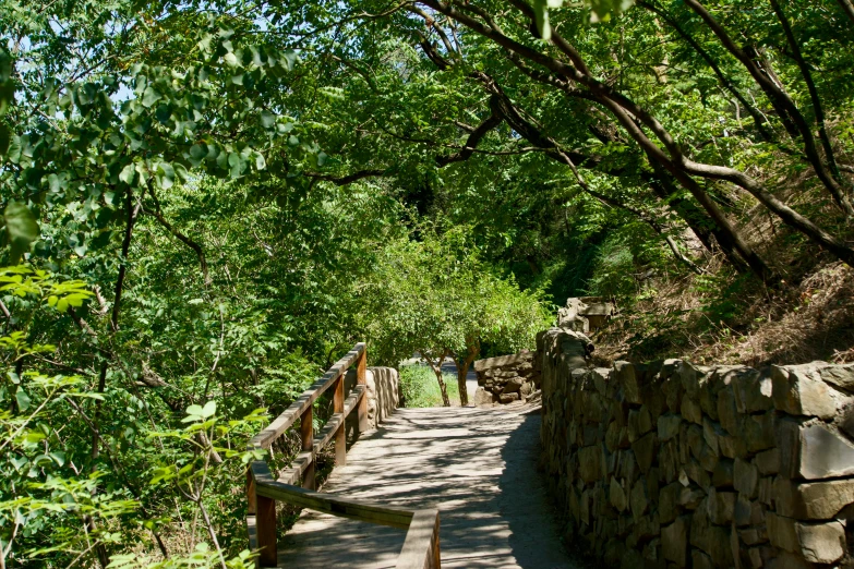 a walkway that is surrounded by trees