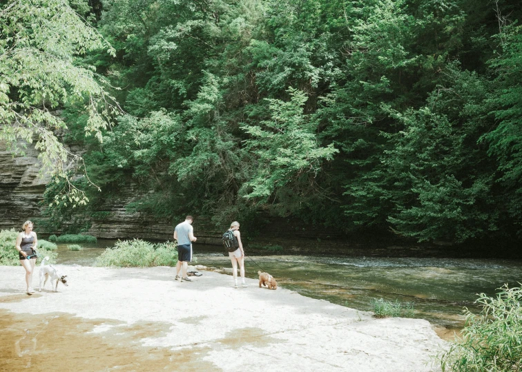 three people and two dogs standing near a stream