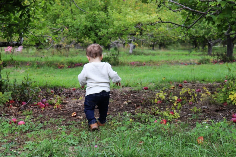 a little boy walks through a field of green grass