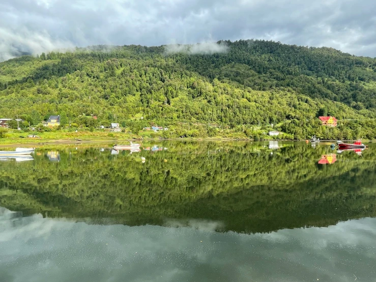 a lake surrounded by forest with mountains in the background