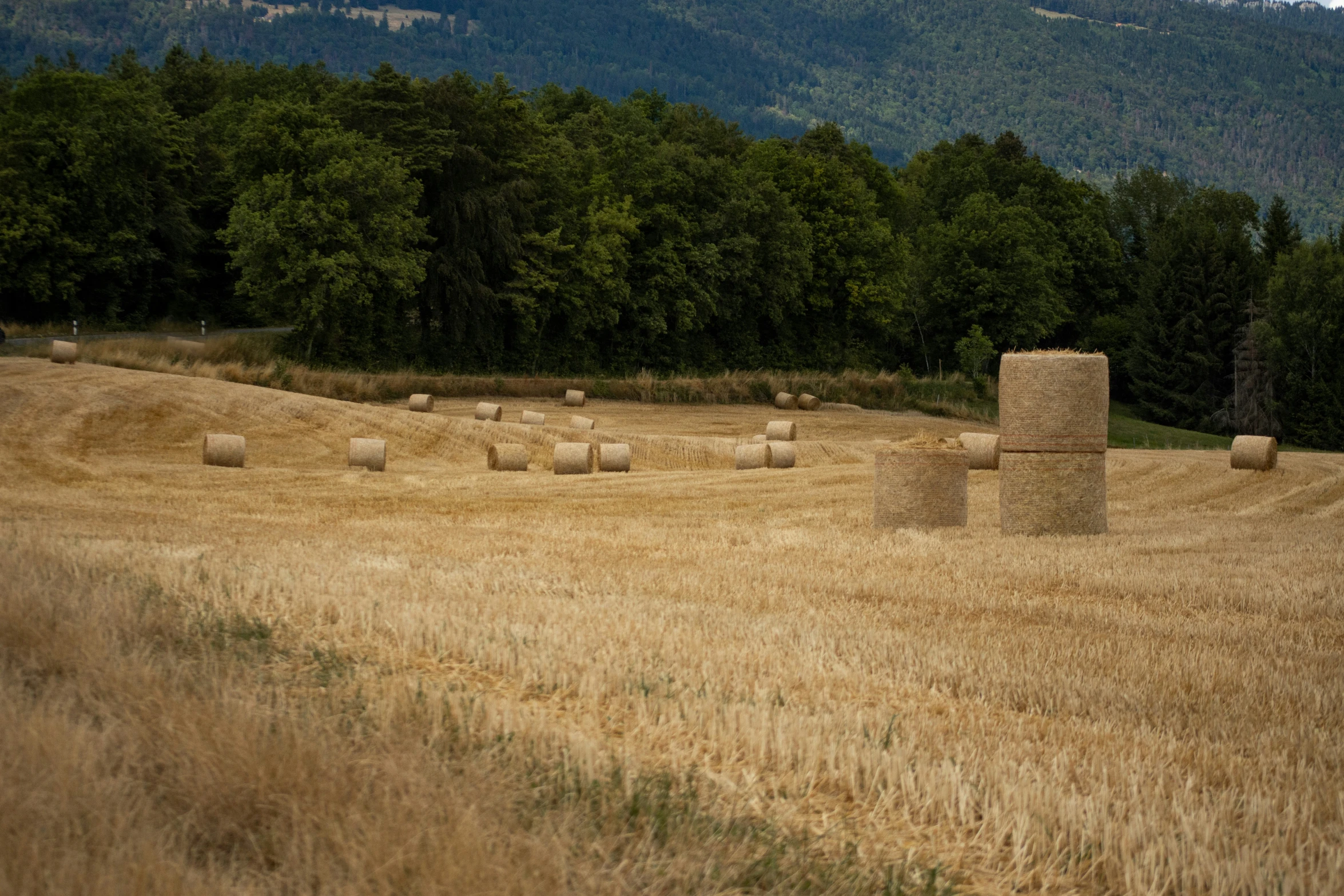 a field with hay bales and trees