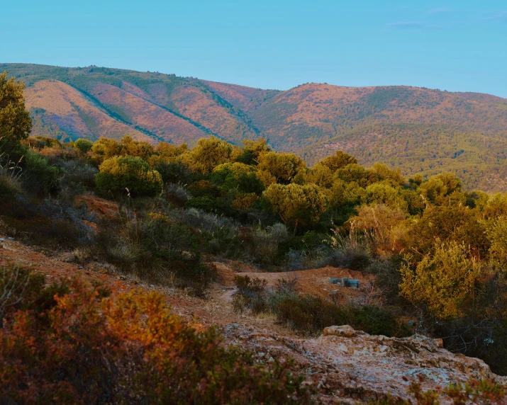 there are hills that have trees on them