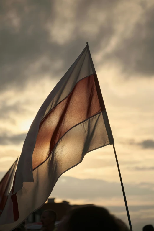 a brown and white flag flying on top of a pole