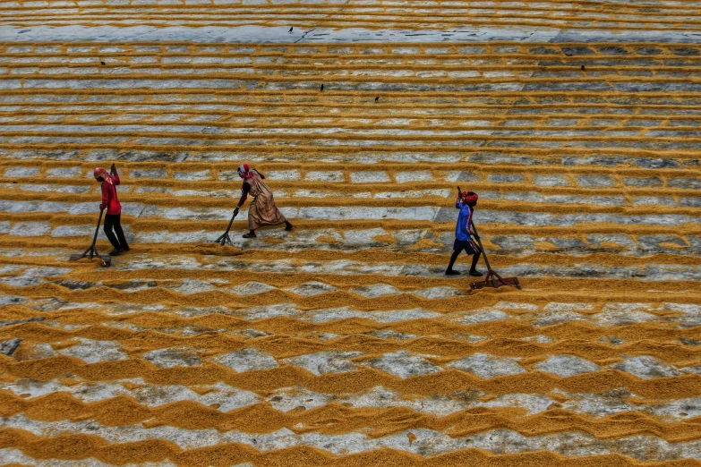 a group of people standing on top of a beach covered in sand