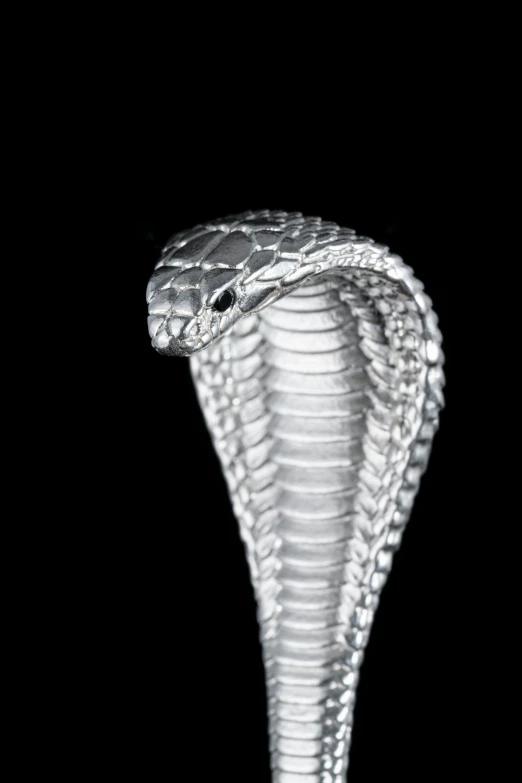 a snake is shown standing out in the dark