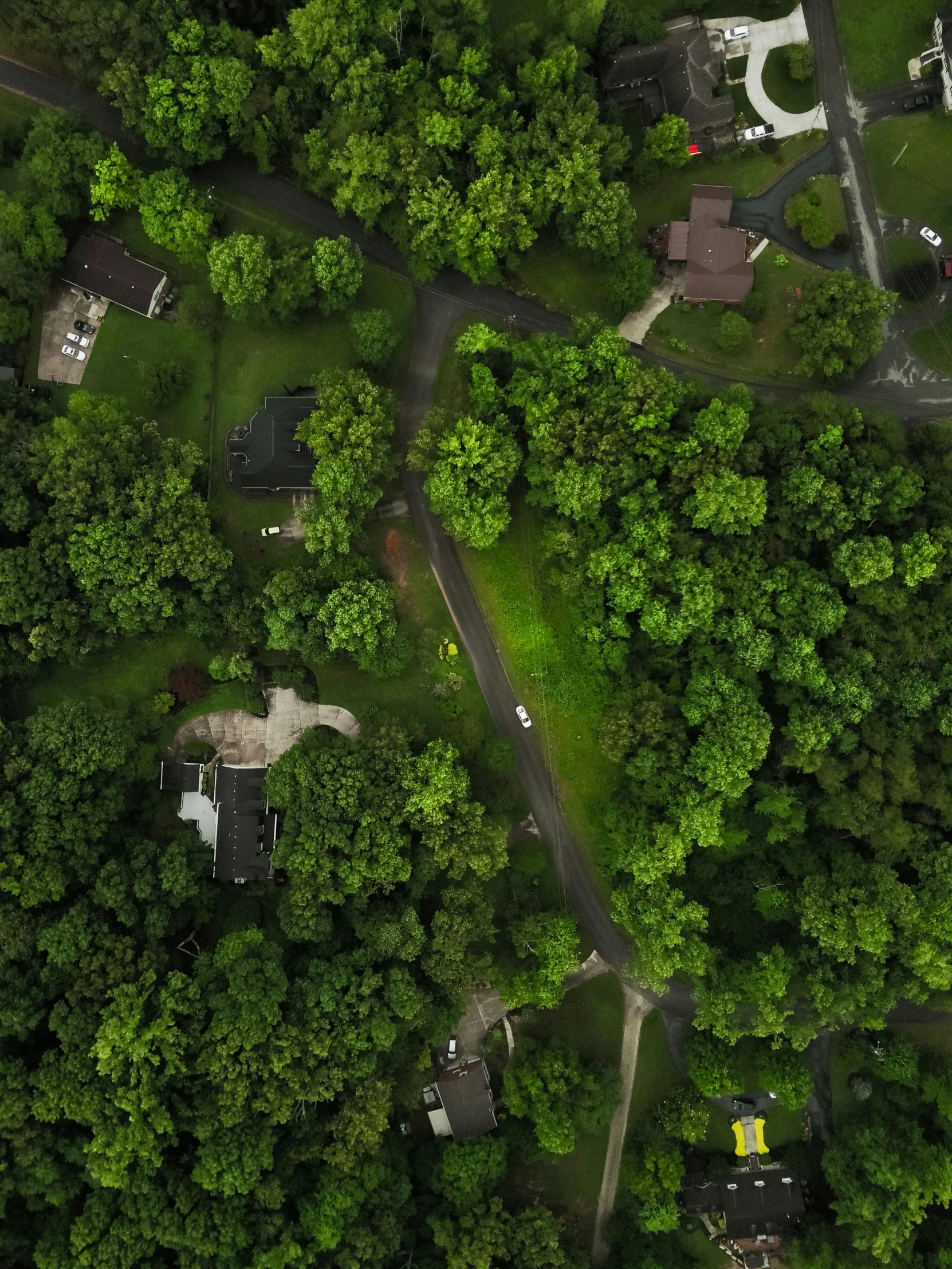 the bird's eye view of many houses in the woods