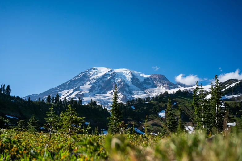 there is a mountain in the distance that has snow on it