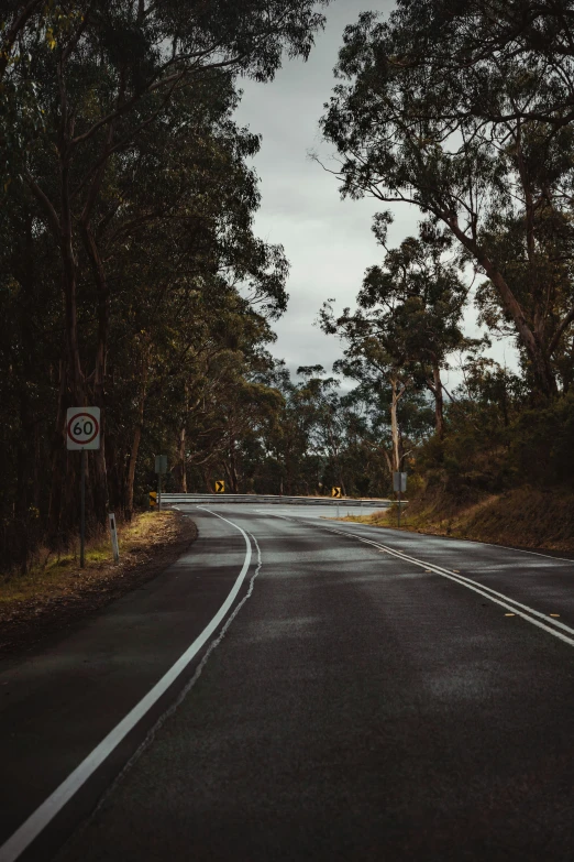 the road is surrounded by a row of trees