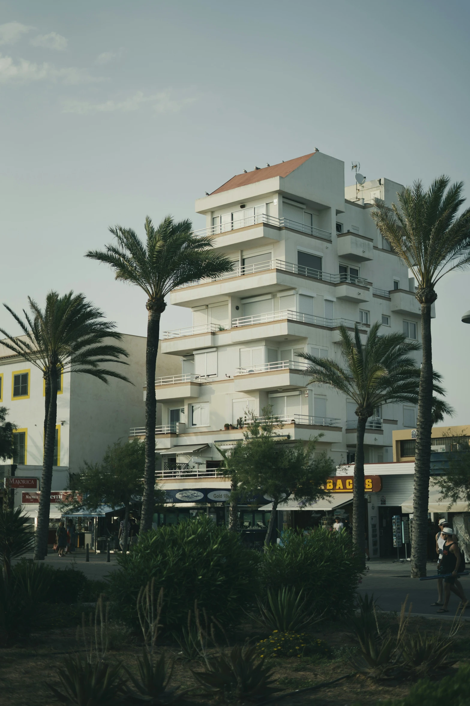 palm trees are next to a tall white building