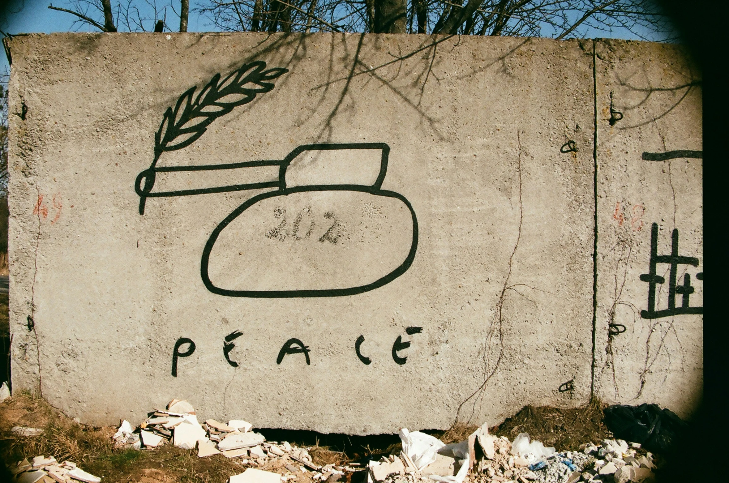 a concrete slab with a drawing of an oat and ears on it