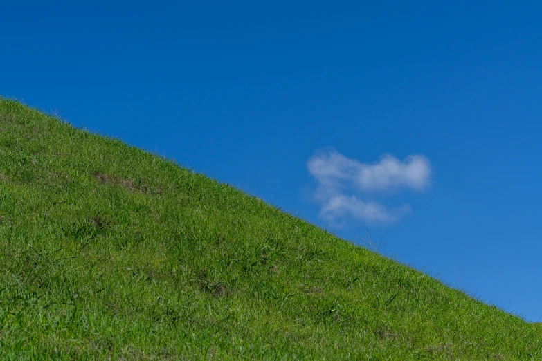 a lone red horse sitting on top of a hill