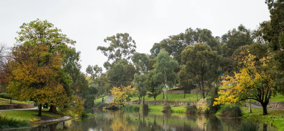 trees and benches along the edge of a river