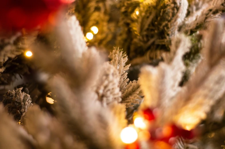 christmas trees covered with garland lights are arranged in a row