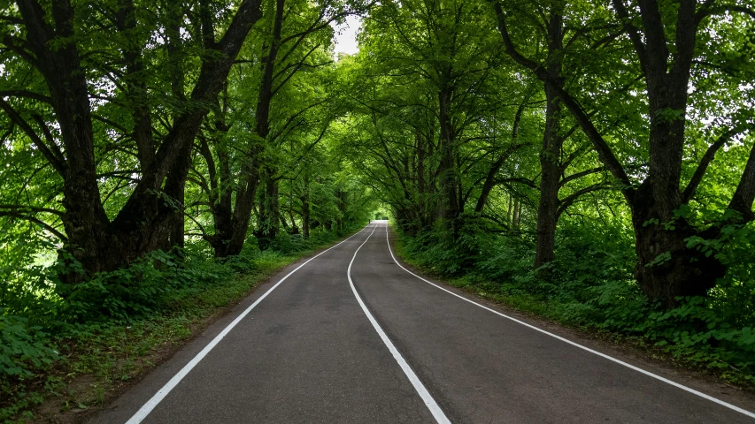 a straight highway between the two sides with trees