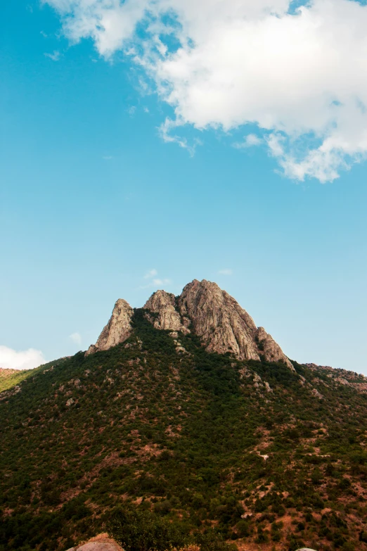 two hills with trees on top of them