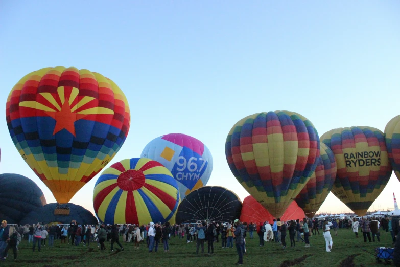 a big field full of colorful  air balloons