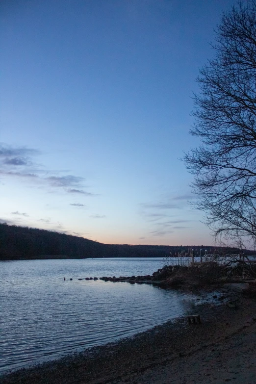 a body of water with a tree and mountains in the background