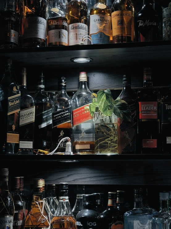 bottles and glasses are stacked on shelves