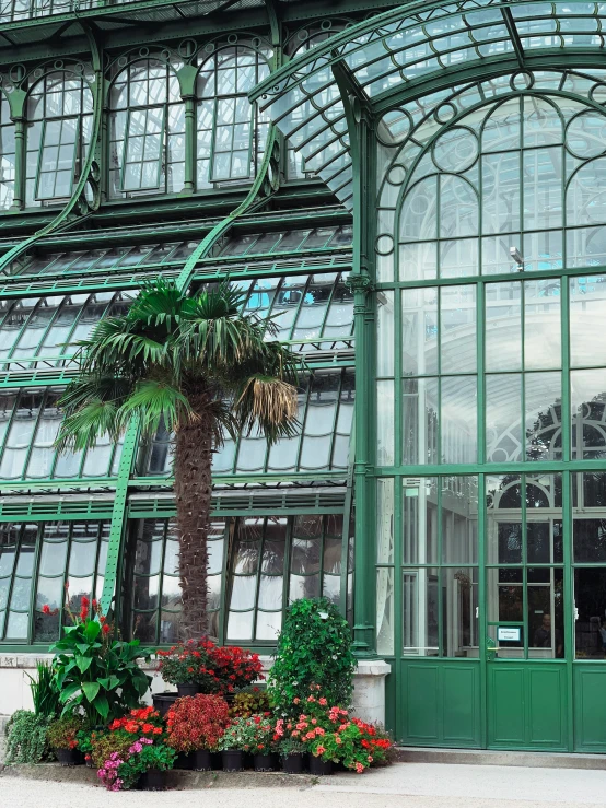 a green building with a palm tree in the center