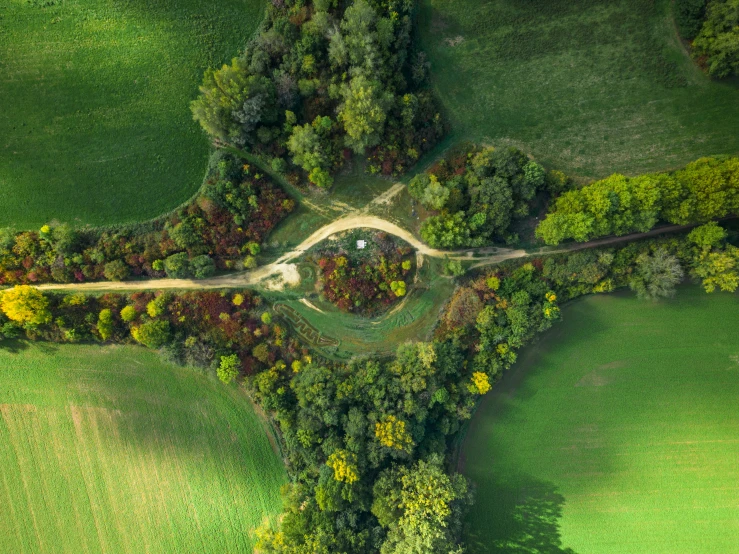 aerial view of winding country road in the middle of grassy fields