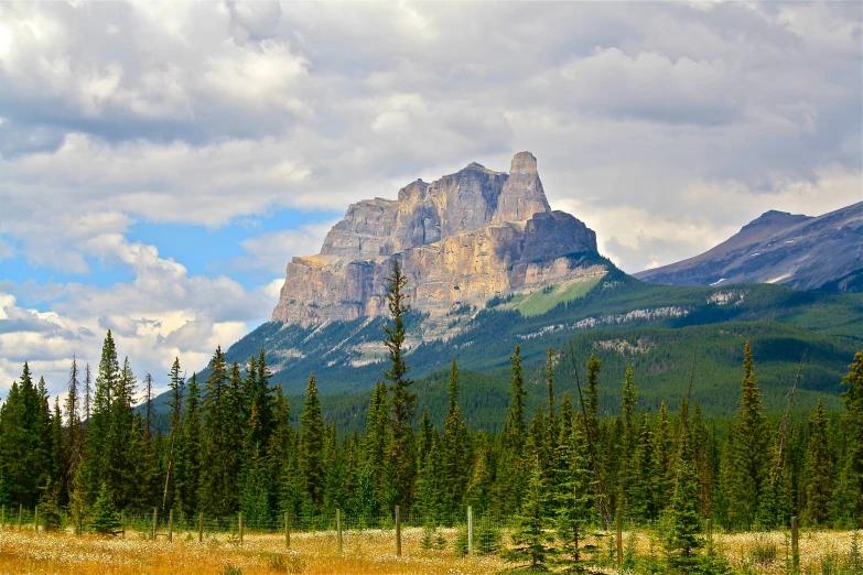 a scenic view of tall mountains from a grassy area with a pine forest below