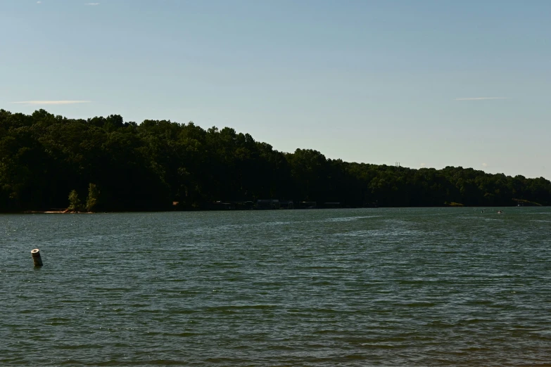 a person standing on a board in the water