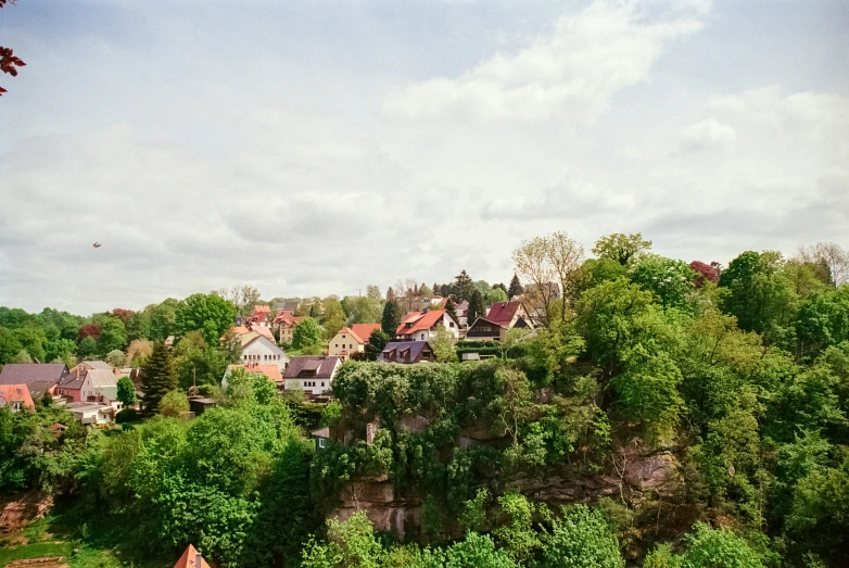 a city with trees and houses on the side of it