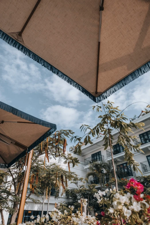 an umbrella that is sitting on some grass