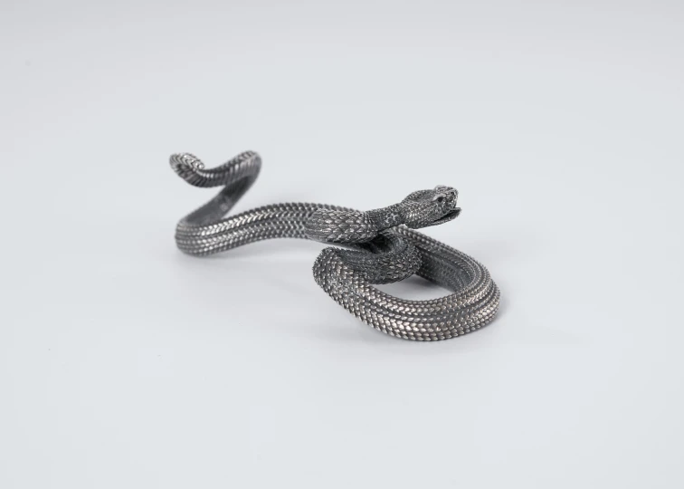 a black snake that is sitting on a white surface