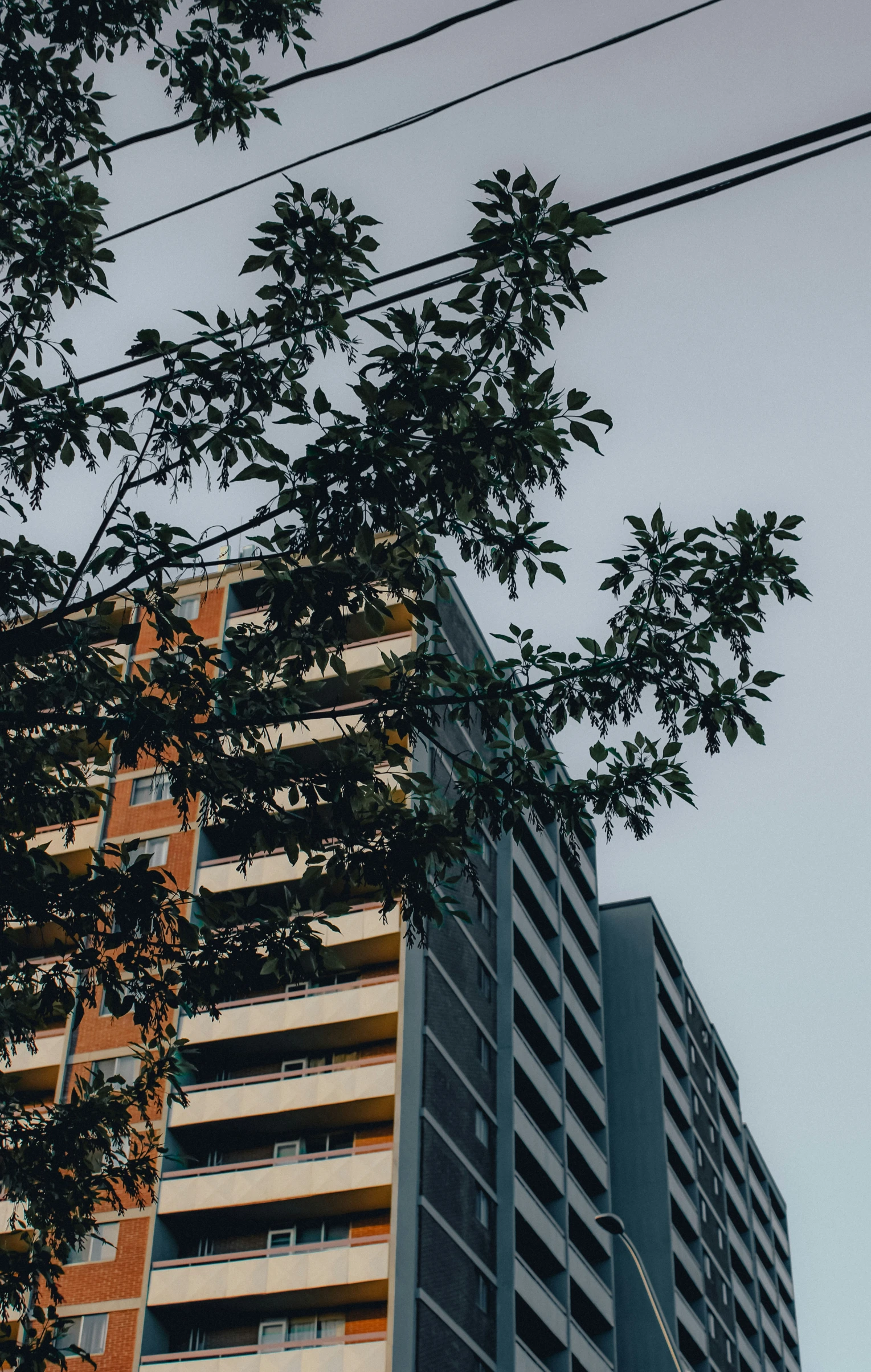 a view of the top part of an apartment building from below