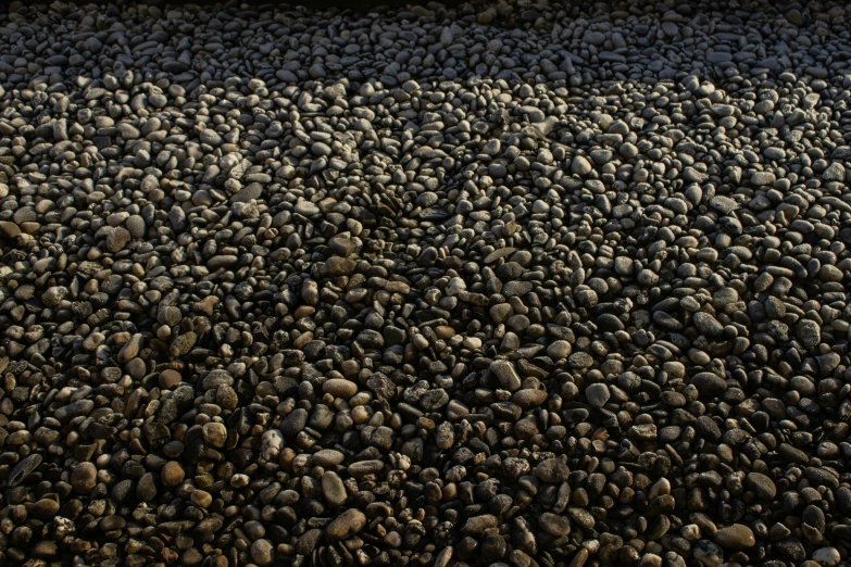 black rocks on sand and in ground at beach