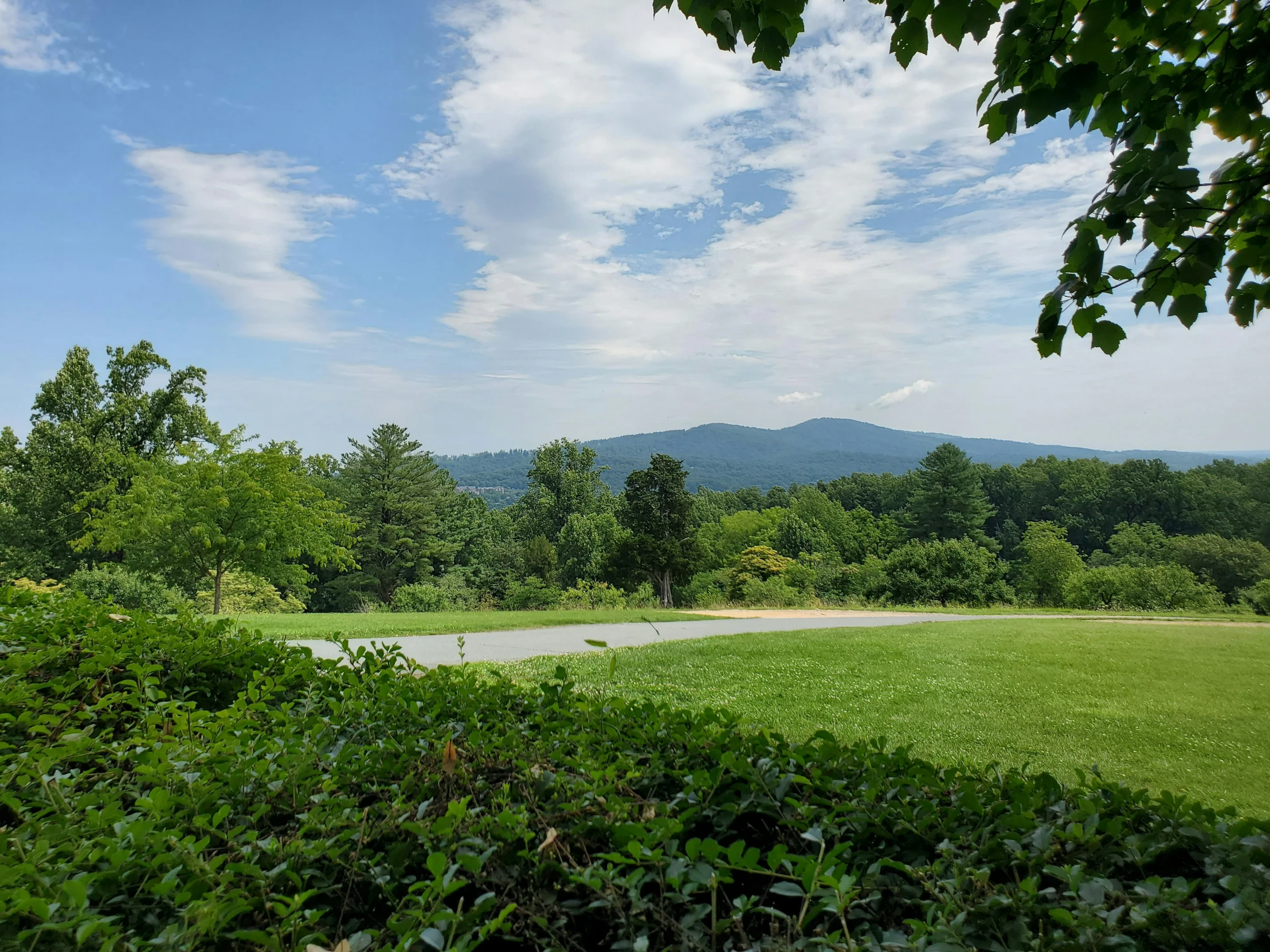 an empty park with trees, bushes and water