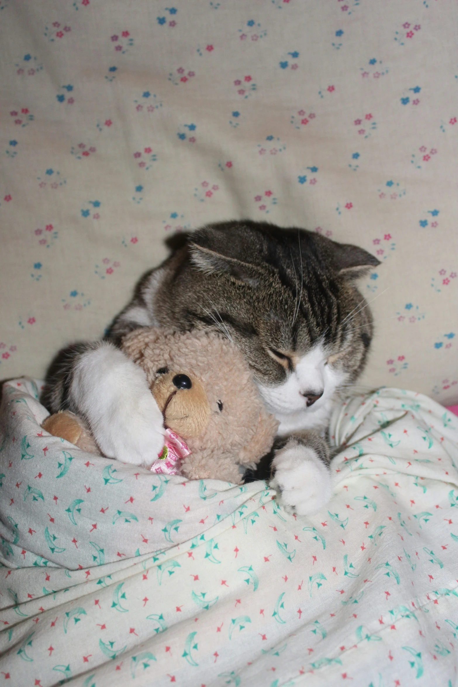 a gray and white cat laying next to a stuffed animal on a bed