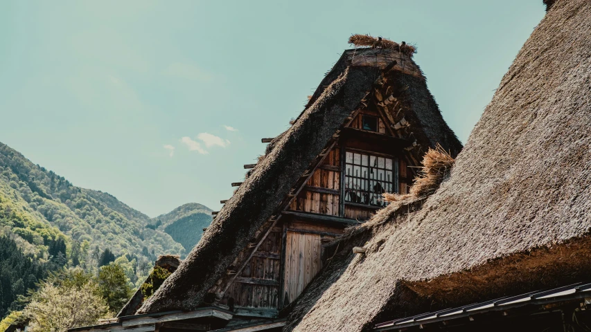 thatched roof houses on stilts in the mountains