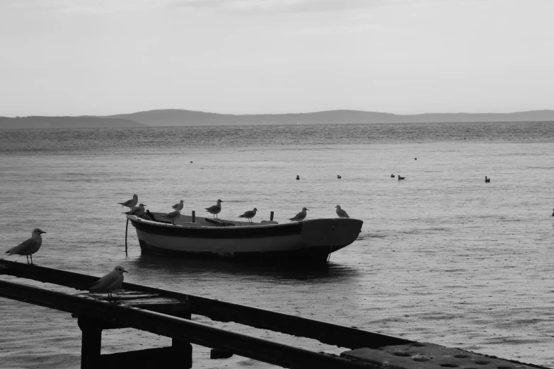 a boat with seagulls sitting on it