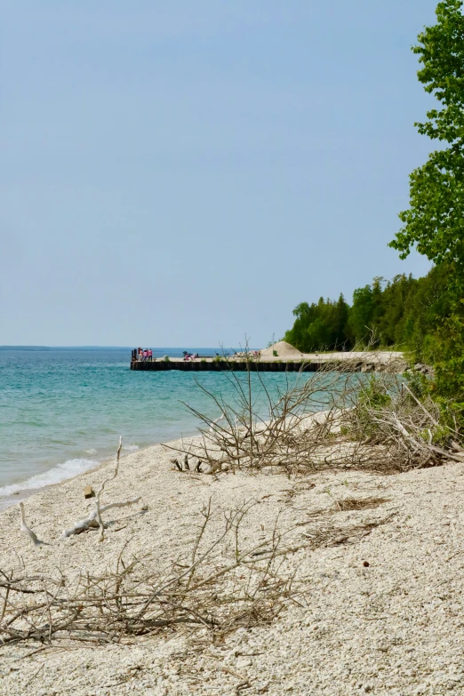 a very long dock at the shore of a beach