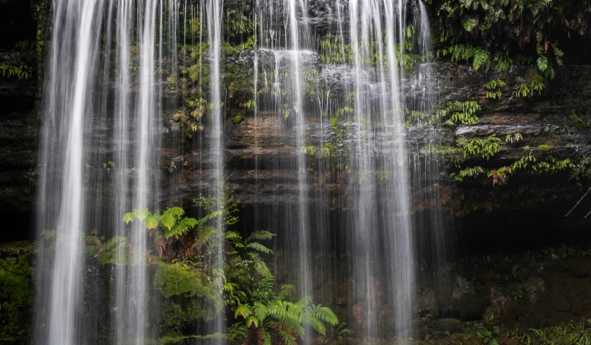 small waterfall in tropical area during the day