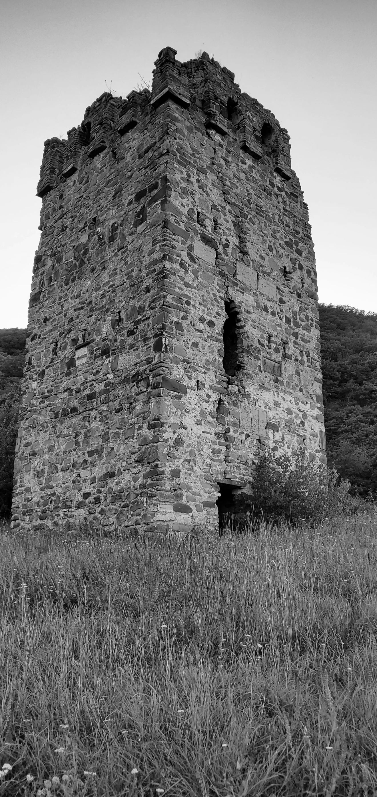 a black and white po of a tall, stone building in the grass
