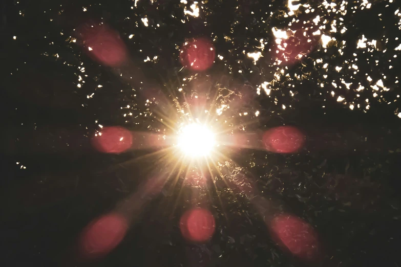 the sun shining brightly on some trees that are in silhouette