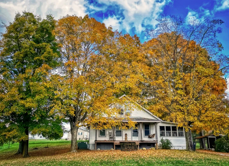 a very pretty house in a nice fall scene