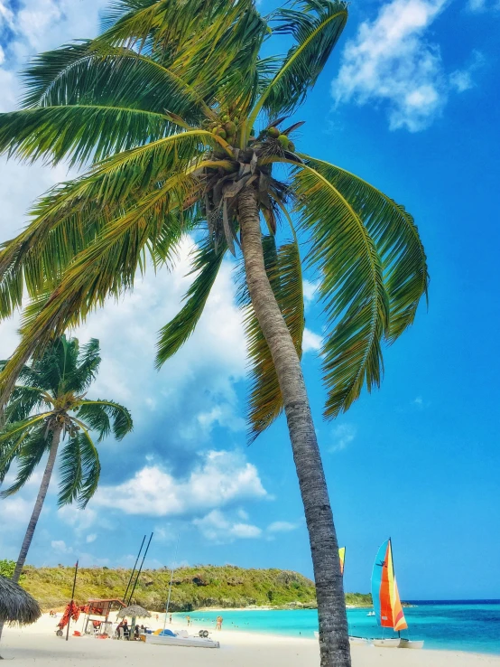 a beach with people relaxing and a few palm trees