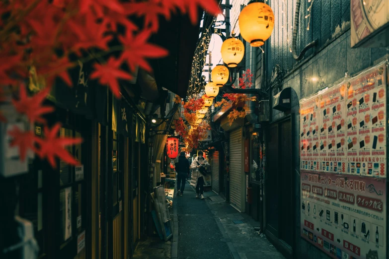 the street is lined with lanterns and signs