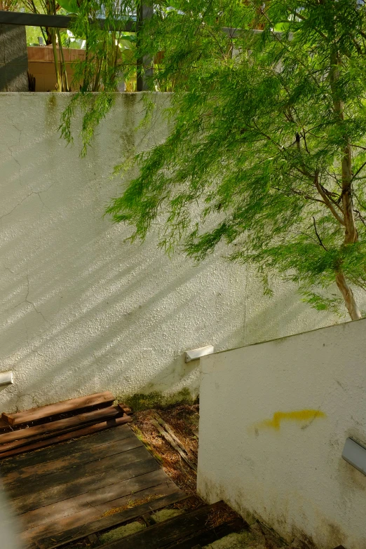 a skateboarder goes down a ramp in an urban park