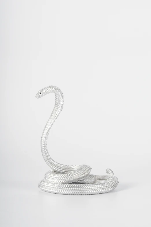 a white snake on top of some coils