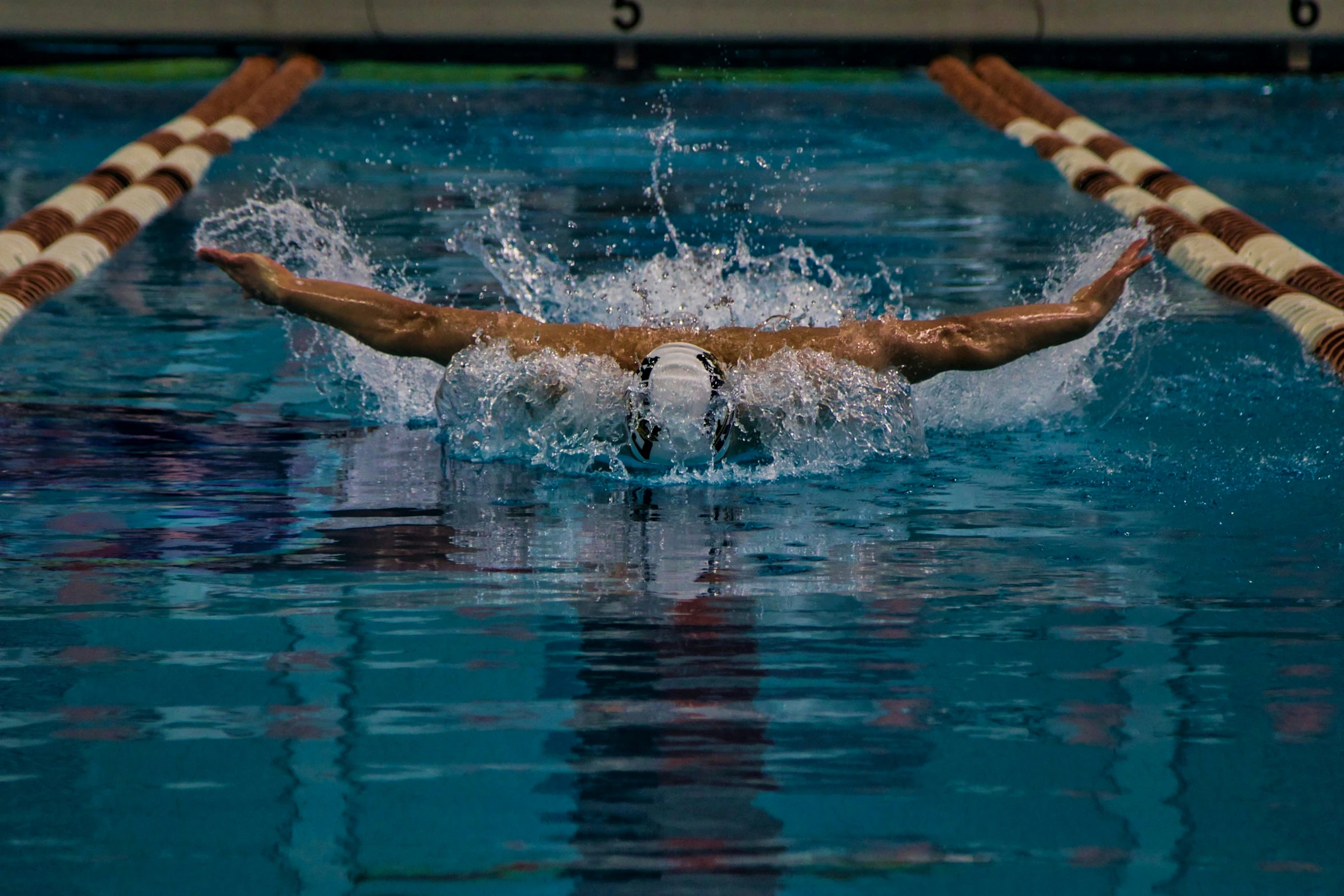 the swimmers are swimming in the pool