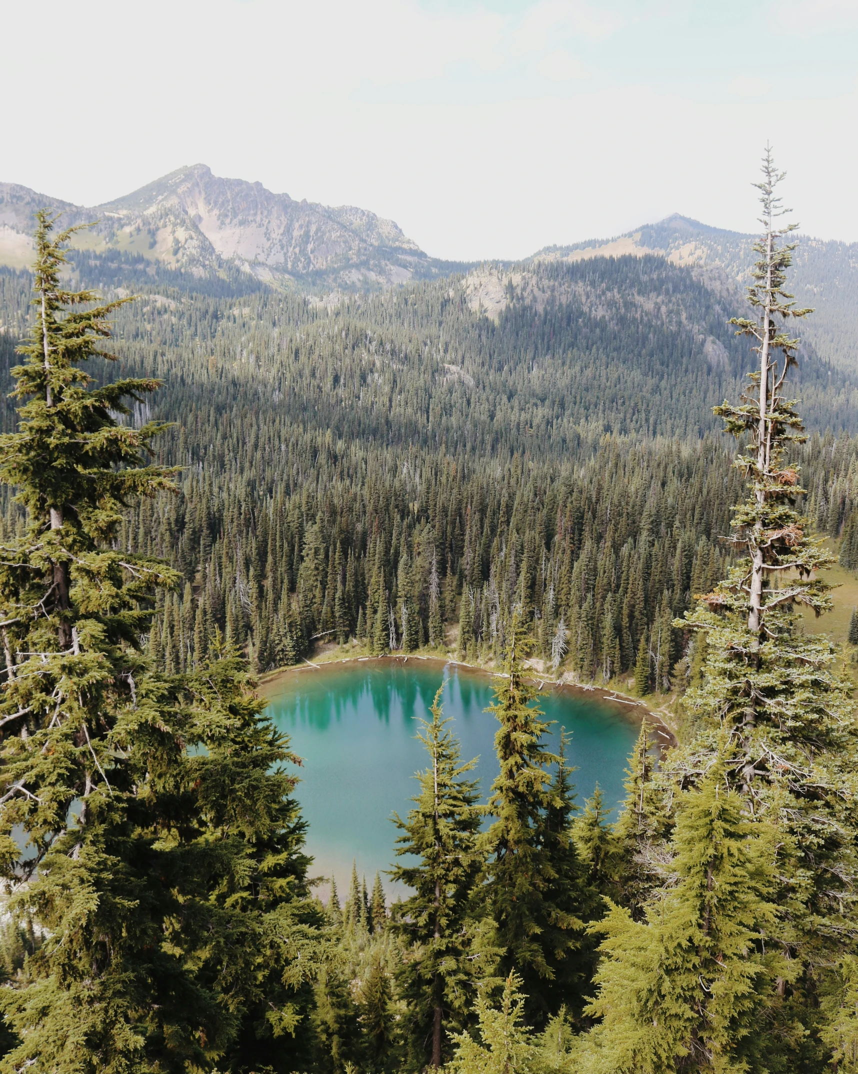 some water and many trees and mountains with clouds