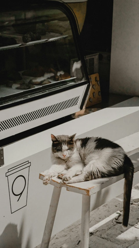 a cat lying on a stool outside a window
