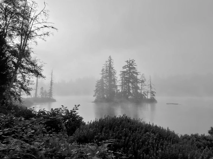 a foggy landscape with trees and water on one side of it