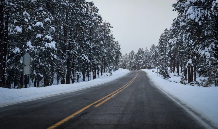 a road with snow covered trees and snow on the sides of the road